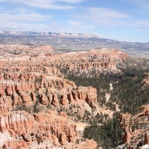 Meet your Posher, Colt